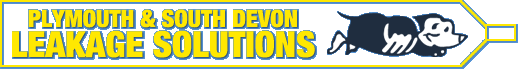 South Devon Leakage Solutions